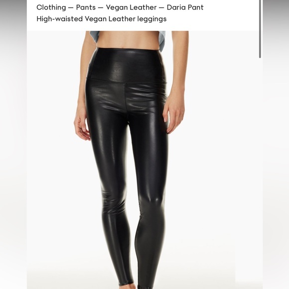 aritzia leather legging/pants - Picture 1 of 7